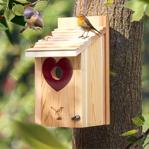 Vogelhaus-Raubfischschutz, 3,4 cm Lochgrößen, dunkelrotes Herz, schließt verschiedene Vogelarten aus, schützt das Eingangsloch, 1 Stück von CEDAR ALPHA