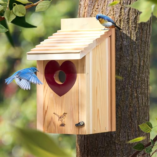 Vogelhaus-Raubfischschutz, 3,4 cm Lochgrößen, dunkelrotes Herz, schließt verschiedene Vogelarten aus, schützt das Eingangsloch, 1 Stück von CEDAR ALPHA