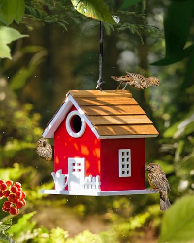 Vogelhaus aus Verbundmaterial, Nistkasten, hängendes Vogelhaus für Bluebird, Spatz, Küken, Vogelhaus für draußen und draußen, wetterbeständigste Vogelbox am Pfosten für Stange von CEDAR ALPHA