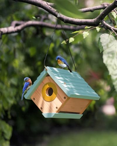 Vogelhaus aus Zedernholz für Zaunkönige und Küken von CEDAR ALPHA