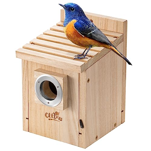 CEED4U Vogelhaus Holz Vogelhaus Hütten für Außenräumung Nistkasten mit Mental Guard für Hinterhöfe, Innenhöfe und Terrassen Dekor, großes Vogelhaus für DIY Kit Outdoor von CEED4U