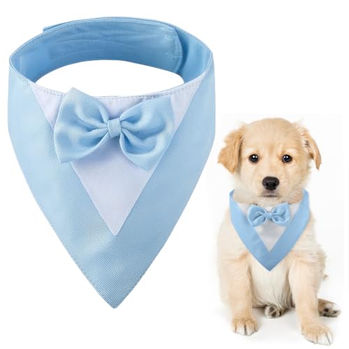 Hundesmoking, Hundehochzeit Bandana Kragen mit Fliege Kleine Hunde Hundesmoking Hundekostüme für kleine Hunde Hundeanzug Kostüm für Hunde Verlobung, Hochzeit, und Geburtstag (Hals:20-30cm/Blau) von CENCERY