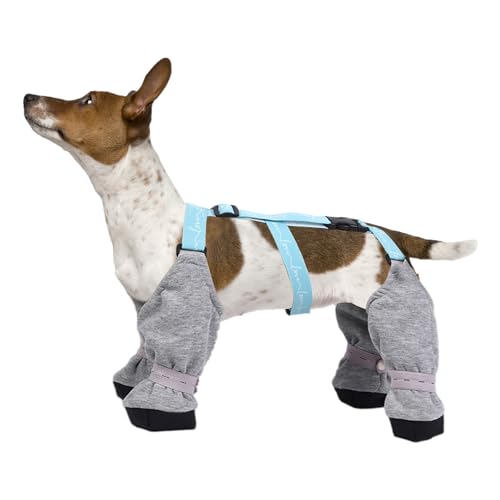 Hundeschuhe Schnee, wasserdichte Hundestiefel, weiche verstellbare Welpenschuhe, Pfotenschutz, Hundestiefel, rutschfeste Hundestiefel, Schneeschuhe, Hundestiefel mit Reißverschluss, Gehweg, kleine von CENMOO