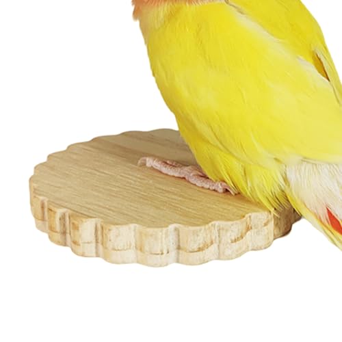 Vogelkäfig-Kleiderbügel aus Holz, Vogelkäfig-Spielzeug, leicht zu reinigen, mit stabilen Schrauben für Papageien, Hamster und Kleintiere Cenmoo von CENMOO