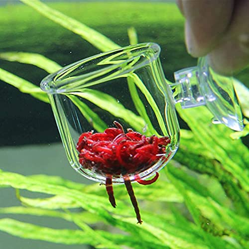 CENPEK 2 Stück Aquarium-Futterkegel aus Glas, Pflanzenbecher, Salzgarnelen, lebender roter Wurm, Fisch-Futterspender für Aquarien mit Saugnapf von CENPEK