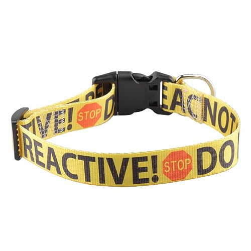 CENWA Do Not Pet Reactive Dog Collar Stay Away Dog Collar Do Not Touch Dog Collar (DO NOT PET Reactive) von CENWA