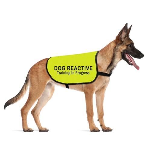 CENWA Reaktive Hundejacke Weste Hund Reactive Training in Progress Service Dog Slogan Warnweste (Reactive Training L) von CENWA