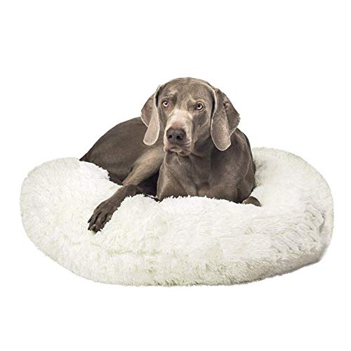 Hundebett (100 cm, weiß), waschbares Hundekissen mit wasserdichter Unterseite, flauschiges Nest, warmes, weiches Kissen, Donut-Kuschelbett für Katzen und Welpen, Sofa von CENY