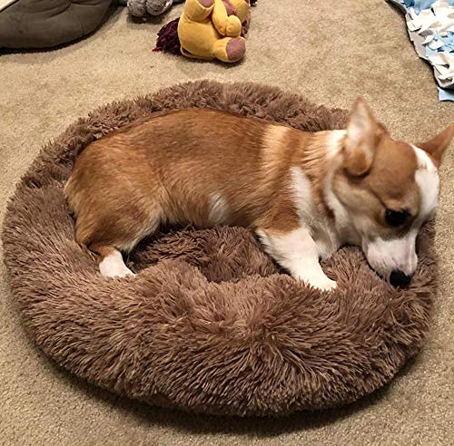 Hundebett mit Geräuschen, Donut-Design, beruhigendes Nest für Katzen, Hunde, Welpen, warmer Plüschhütte von CENY