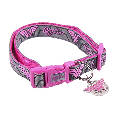 DC Comics Hundehalsband Superheores, offizielles Lizenzprodukt von CERDÁ LIFE'S LITTLE MOMENTS