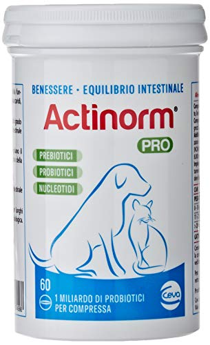 Futterergänzung Integratore Alimentare Actinorm Plus Per Cani E Gatti 90 Compresse von CEVA SALUTE ANIMALE SpA