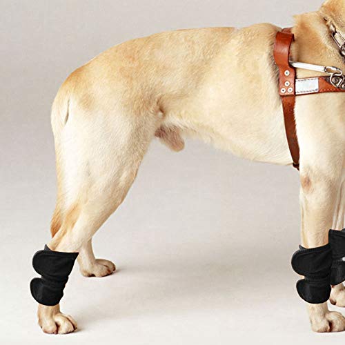 CFTGIW 2pcs Hundekatze Beinklammer Ellbogen Beschützer Warme Knieschalter Wunde Leggings Guardblack L KomfortDiese Knie Sind Bequeme Materia Dog Leg Bracepuppy Legs Wrappet -Gelenk von CFTGIW