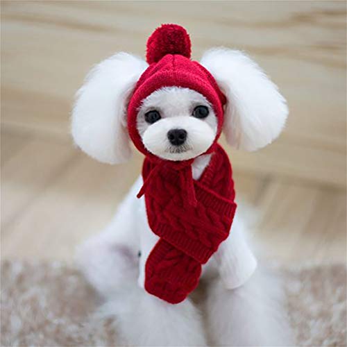 CFTGIW Winter Warm Gestrickte Haustierhut -Schal Set Hunde Hüte Lustige Cosplay -Haustierhund für Welpenzubehör Weich und 2 Ist Anzughutschal. 3 Der Dekorierte Hund. Warm von CFTGIW