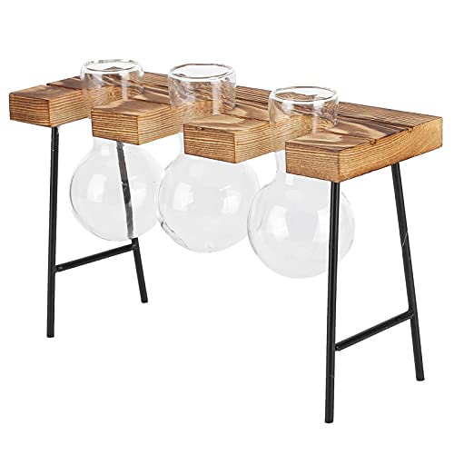 Desktop-Glas-Pflanzgefäß, Holzständer, Glühbirnen-Glas- und Hydrokultur-Pflanzgefäß für den Garten, 2 Flaschen-Pl eTabletop-EPL-Glas-E-Glühbirnen-Glas-E-Glas-Pflanzgefäß, von CFTGIW