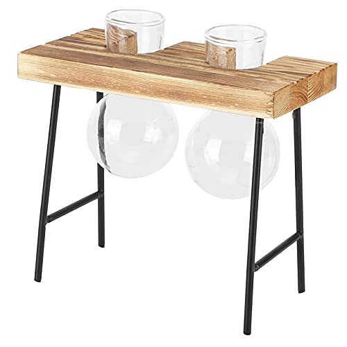 Desktop-Glas-Pflanzgefäß, Holzständer, Glühbirnen-Glas- und Hydrokultur-Pflanzgefäß für den Garten, 2 Flaschen-Pl eTabletop-EPL-Glas-E-Glühbirnen-Glas-E-Glas-Pflanzgefäß, von CFTGIW