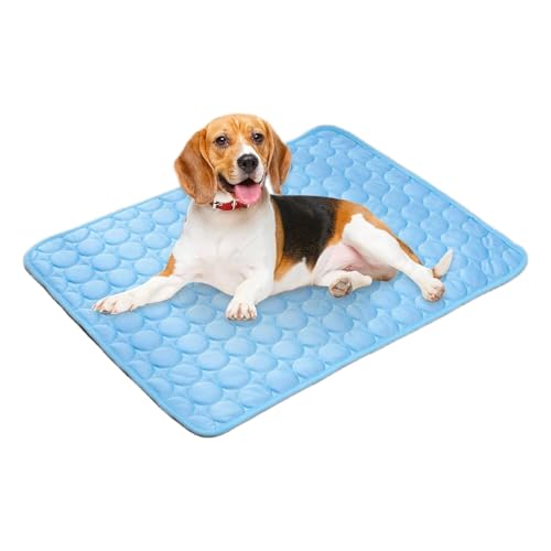 CGACCSD Hundekühlmatte Für Draußen, Hund Katze Kühlkissen Für Drinnen, Sommerruhe, Schlafen, Spielen Für Kleine Bis Große Hunde CGACCSD Hundekühlmatte Für Draußen, Hund Katze Kühlkissen Für Drinnen, Sommerruhe, Schlafen, Spielen Für Kleine Bis Große Hunde von CGACCSD