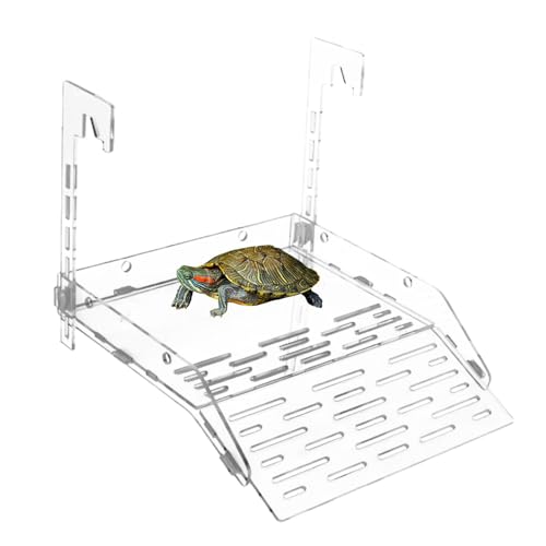 CGACCSD Kletterrampe für Schildkröten, Schildkrötendocks zum Sonnen, Transparente Kletterrampe aus Acryl, Saugnapf-Sonnenrampe, Reptilien-Ruhedock mit Haken für Eidechsen, Einsiedlerkrebse von CGACCSD