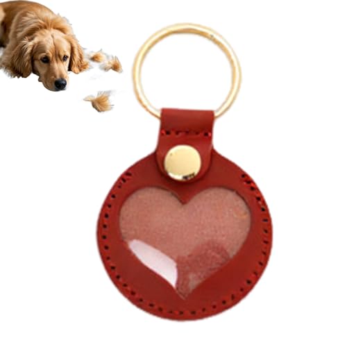 CGACCSD Schlüsselanhänger zum befüllen tierhaar, schlüsselanhänger für tierhaare Katze, schlüsselanhänger mit Katzenhaar, Haustier Gedenkgeschenke für Tasche CGACCSD Schlüsselanhänger zum befüllen tierhaar, schlüsselanhänger für tierhaare Katze, schlüsselanhänger mit Katzenhaar, Haustier Gedenkgeschenke für Tasche von CGACCSD