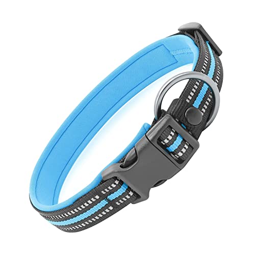 ＣＨＡＭＥＥＮ Hundehalsband Hundehalsband Leder einstellbar reflektierend Welpen Halsband Release Schnalle blau von ＣＨＡＭＥＥＮ