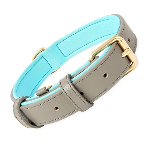 ＣＨＡＭＥＥＮ Hundehalsband Hundehalsband Leder mit Polsterung und Leder einziehbare Hundeleine einstellbar grau von ＣＨＡＭＥＥＮ