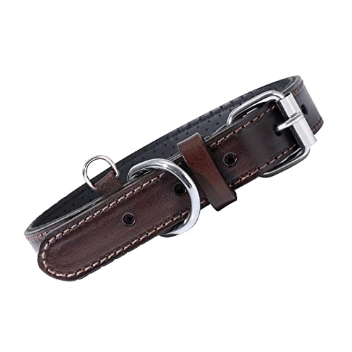 ＣＨＡＭＥＥＮ Hundehalsband Leder braun mit perforierter Polsterung D Ring klassisches Trainingshalsband braun von ＣＨＡＭＥＥＮ