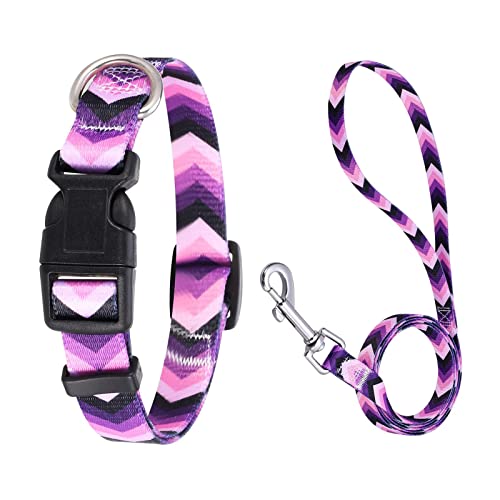 ＣＨＡＭＥＥＮ Welpenhalsband mit Leine Set Hundehalsband Leder Einstellbar Weich Bequemes Hundehalsband Lila Welle von ＣＨＡＭＥＥＮ