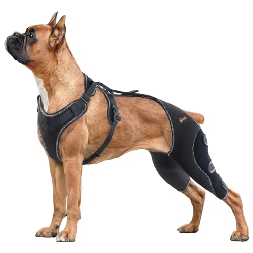 CHAMIN Hunde-Beinbandagen für Hinterbeine, Kniebandage für Kreuzbandverletzungen, Arthrose, Luxating Patella, Muskelkater usw. (Größe XL) von CHAMIN