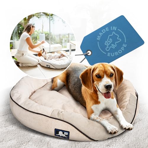 Hundebett [orthopädisch] - Hundesofa für kleine, mittelgroße & große Hunde | waschbar, rutschfest ergonomisch | Hundekorb, Haustier Schlafplätze & Möbel, Dog Bed | Champ’s Nap (M) von CHAMP`S NAP