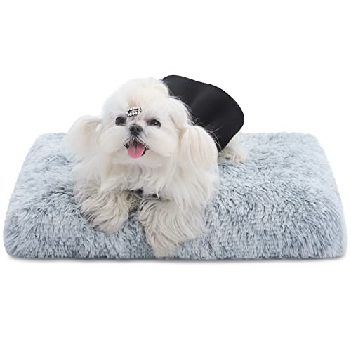 CHAMPETS Waschbares Hundebett für Kiste, grau, 61 x 45,7 cm, großes Hundebett, waschbar für kleine, mittelgroße und große Hunde, wasserdichte Hundebetten für große Hunde, mit waschbarem Bezug, Haustierbett für kleine Hunde von CHAMPETS