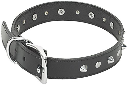 CHAPUIS SELLERIE SLA048 Hundehalsband - Leder-Imitat schwarz mit Nieten - Breite 20 mm - Länge 45 cm - Größe M von CHAPUIS SELLERIE