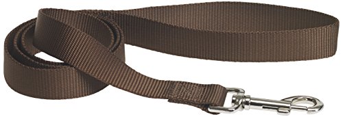 CHAPUIS SELLERIE SLA137 Hundeleine - Nylongurt braun - Breite 20 mm - Länge 1,20 m - Größe M von CHAPUIS SELLERIE