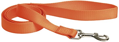 CHAPUIS SELLERIE SLA146 Hundeleine - Nylongurt orange - Breite 25 mm - Länge 1,20 m - Größe L von CHAPUIS SELLERIE