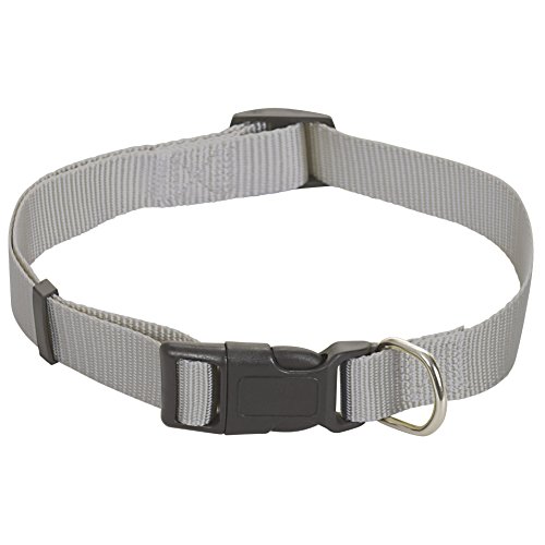 CHAPUIS SELLERIE SLA168 Verstellbares Hundehalsband - Nylongurt grau - Breite 15 mm - Länge 35-50 cm - Größe S von CHAPUIS SELLERIE