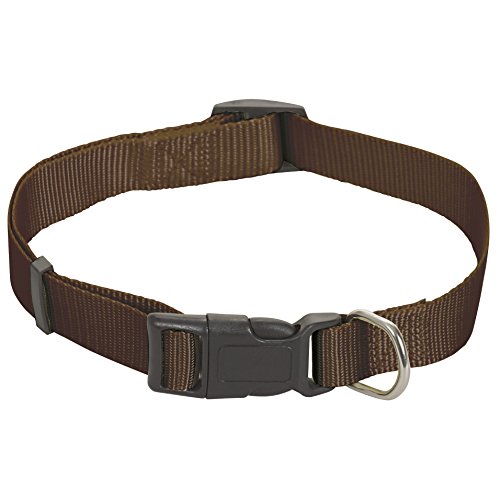 CHAPUIS SELLERIE SLA176 Verstellbares Hundehalsband - Nylongurt braun - Breite 15 mm - Länge 35-50 cm - Größe S von CHAPUIS SELLERIE