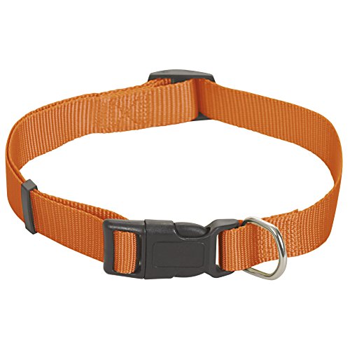 CHAPUIS SELLERIE SLA184 Verstellbares Hundehalsband - Nylongurt orange - Breite 15 mm - Länge 35-50 cm - Größe S von CHAPUIS SELLERIE