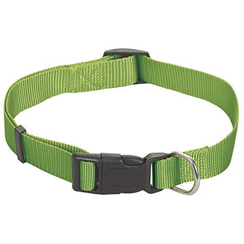 CHAPUIS SELLERIE SLA193 Verstellbares Hundehalsband - Nylongurt grün - Breite 20 mm - Länge 35-60 cm - Größe M von CHAPUIS SELLERIE