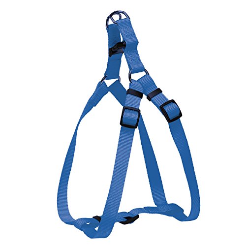 CHAPUIS SELLERIE SLA205 Verstellbares Hundegeschirr - Nylongurt blau - Breite 20 mm - Maße 50-70 cm - Größe L von CHAPUIS SELLERIE