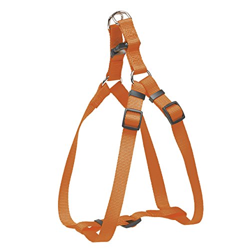 CHAPUIS SELLERIE SLA225 Verstellbares Hundegeschirr - Nylongurt orange - Breite 20 mm - Maße 50-70 cm - Größe L von CHAPUIS SELLERIE