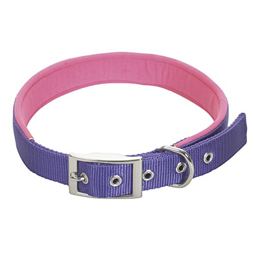 CHAPUIS SELLERIE SLA274 Hundehalsband - Komfort-Nylongurt violett - Breite 25 mm - Länge 55 cm - Größe L von CHAPUIS SELLERIE