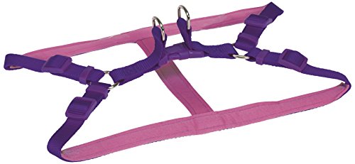 CHAPUIS SELLERIE SLA290 Verstellbares Hundegeschirr - Komfort-Nylongurt violett - Breite 15 mm - Maße 35-50 cm - Größe S von CHAPUIS SELLERIE