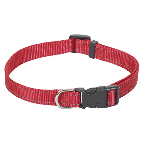 CHAPUIS SELLERIE SLA333 Reflektierendes verstellbares Hundehalsband - Verstärkter Nylongurt rot - Breite 40 mm - Länge 61-74 cm - Größe XL von CHAPUIS SELLERIE