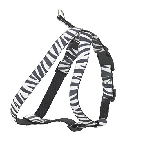 CHAPUIS SELLERIE SLA392 Verstellbares Hundegeschirr - Velours-Gurt Zebra-Look - Breite 25 mm - Maße 60-70 cm - Größe L von CHAPUIS SELLERIE