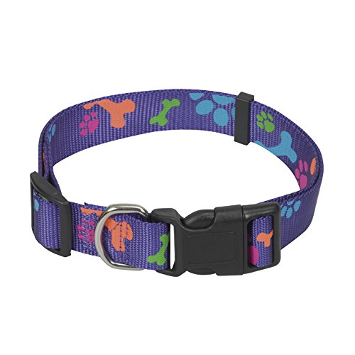 CHAPUIS SELLERIE SLA477 Verstellbares Hundehalsband - Nylongurt mit violetten Tatzen - Breite 20 mm - Länge 40-55 cm - Größe L von CHAPUIS SELLERIE