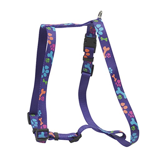 CHAPUIS SELLERIE SLA485 Verstellbares Hundegeschirr - Nylongurt mit violetten Tatzen - Breite 15 mm - Maße 30-50 cm - Größe S von CHAPUIS SELLERIE