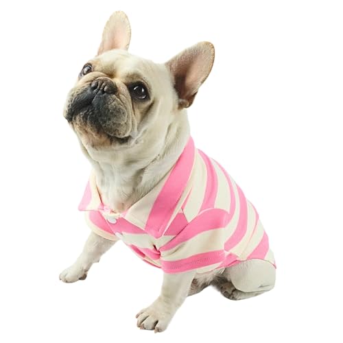 CHEERTAILS Französische Bulldogge, gestreiftes Poloshirt, Hundekleidung, für kleine und mittelgroße Hunde und Katzen, Französische Bulldogge, Boston Terrier, Mops, American British Kurzhaar, Rosa, von CHEERTAILS