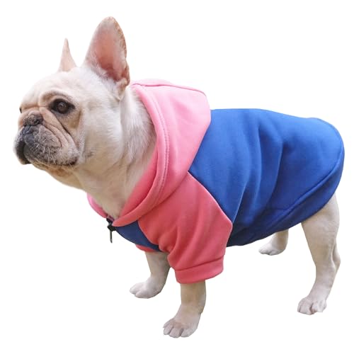 CHEERTAILS Frenchie Hundepullover für mittelgroße Hunde, Mädchen, Jungen, französische Bulldogge, farbblockiert, Hunde-Sweatshirt, Hunde-Kapuzenpullover, mittelgroße Hunde, Reißverschluss, von CHEERTAILS