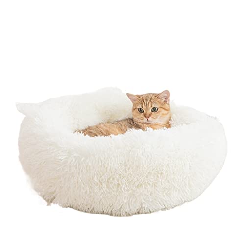 Haustier Hund Pad verdickt um runde Plüsch Decke Katze Käfigkäppchen Herbst und Winterkatze Bett warmes Haustier Bett Hundebett Katzenbedarf warm (Color : C, Size : M) von CHENMIAOMIAO