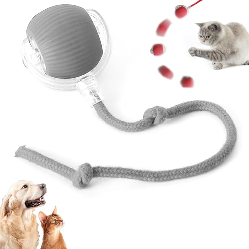 Chewie Rolling Ball, Interactive Cat Toys Rolling Ball Chewie Dog Ball, Chewie Hundeball, Interaktives Katzenspielzeug Ball mit LED-Licht, 360° Selbstdrehender beweglicher Ball für Katzen (Grau) von CHENRI