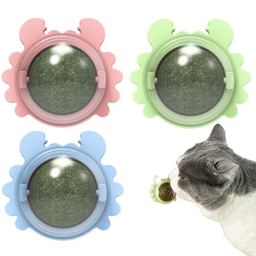 Plothuge Catnip Wall Ball, Plothuge Katzenminze Ball, Katzenminze Balls Spielzeug für Katze, Katzenminze Wandroller für Katzenlecken, 360° Drehbar Katzenminze Bälle Kätzchenspielzeug für Katze (3PCS) von CHENRI