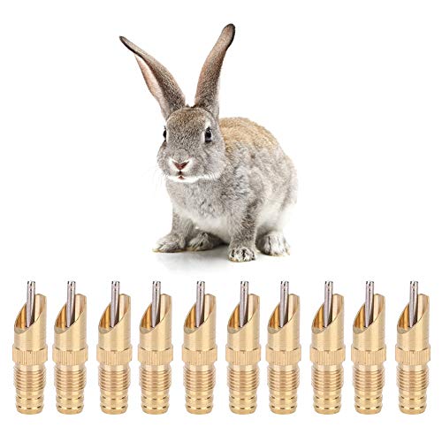 CHEOTIME 10 Stück Edelstahl-Wasserspender Für Kaninchen, Automatischer Fuchs-Kaninchentrinker, Nippeltränke, Trinkwasser-Werkzeugkäfig-Zubehör von CHEOTIME